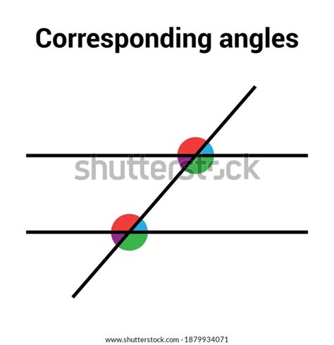 Corresponding Angles Formed By Parallel Lines Stock Vector (Royalty Free) 1879934071