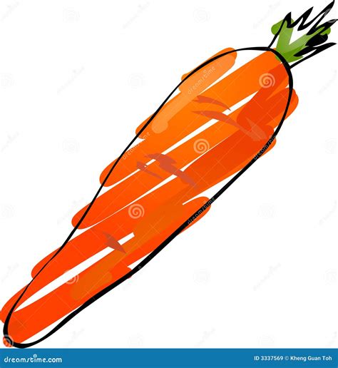 Carrot Sketch Royalty Free Stock Images - Image: 3337569