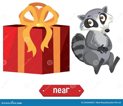 Preposition Wordcard Design With Raccoon Near Box Stock Vector Illustration Of Present