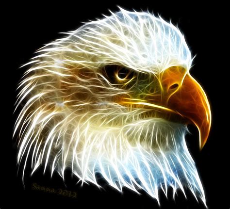 Min Digitala Konst My Digital Art Bald Eagle Fractal