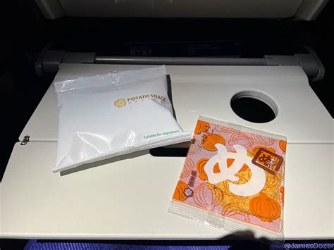 Review: ANA Economy Class, Los Angeles to Tokyo Haneda - Travel Codex