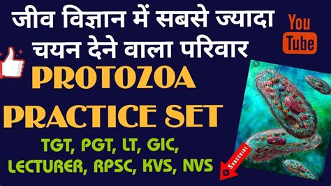 Protozoa Practice Set Lt Tgt Pgt Gic Kvs Nvs Dsssb Rpsc