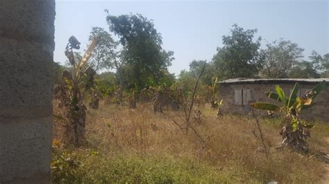 3 Acres Farmland For Sale In Abeokuta Properties Nigeria