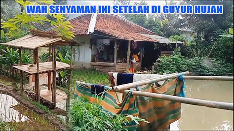 WAH SENYAMAN INI SETELAH DI GUYUR HUJAN RUMAH TENGAH SAWAH UDARANYA