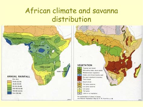 African Savanna Climate