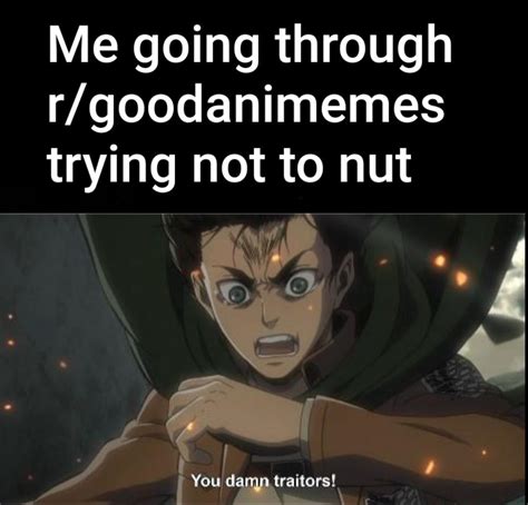I Came Looking For Animemes But Found The Horny R Goodanimemes