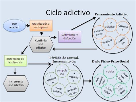 Adicciones Vivi2 Ciclo De La AdicciÓn