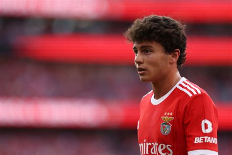 Man Utd Arsenal Plotting Swoop For Benfica Star Joao Neves