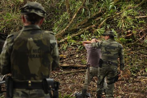 Operação Mata Atlântica em Pé é lançada em 17 estados para combater