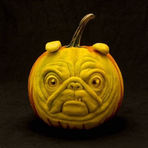 Creative Jack Olanterns 43 Pics