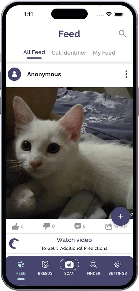 Best Cat Breed Identification App | Cat Identifier