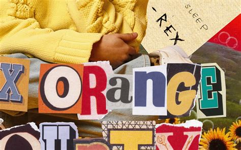 Rex Orange County Aesthetic Poster Rex Orange County Music Print Rex Orange County Collage