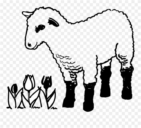 Download Sheep And Lamb Colouring Clipart 5513176 Pinclipart