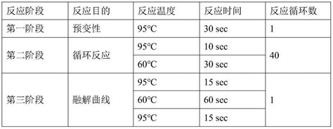 一种转座酶活性测定方法与流程