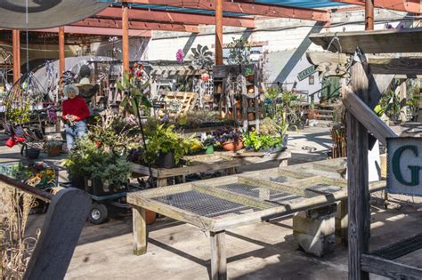 laurens sc city guide  living  laurens homescom