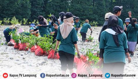 Kupas Tuntas Lewat Prinsip Esg Pln Sukses Raih Penghargaan Di Iga