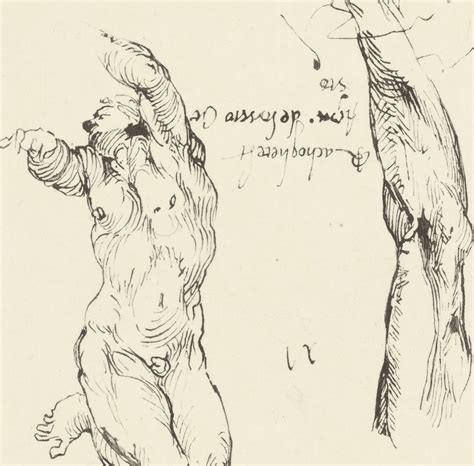 Engraving Study Of Male Nude And Study Of Arm Michelangelo Louvre Shop