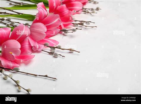 Pussy Willow Branches And Tulip Flowers On Light Background Closeup Stock Photo Alamy