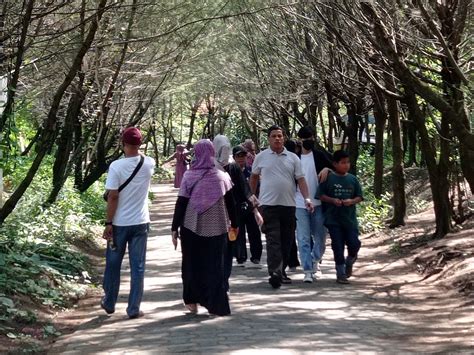 Ekowisata Mangrove Wonorejo Buka Setiap Hari Selama Libur Lebaran