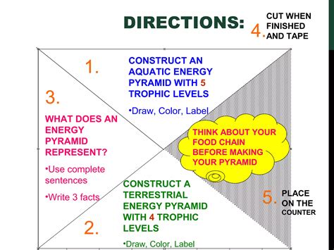 energy pyramid lesson