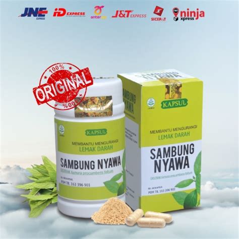 Jual Kapsul Herbal Sambung Nyawa Tazakka Kapsul Original Shopee