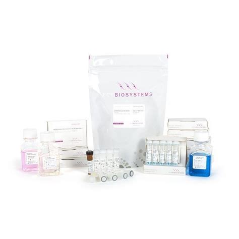 Kit Di Reagenti Colorante Clara Probe Purple Mix PCR Biosystems