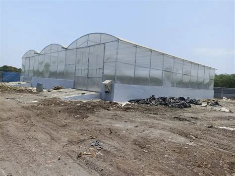 Dome Shaped Polycarbonate Sheet Greenhouse, For Farming at ₹ 4000 ...