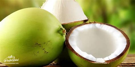 Buko Young Coconut Mga Nakakabilib Na Health Benefits Alamin