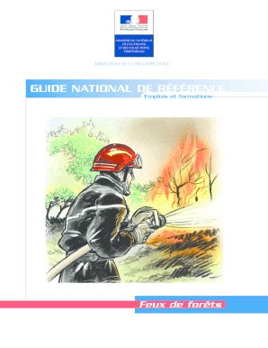 Fillable Online Interieur Gouv Guide National De R F Rence Feux De For