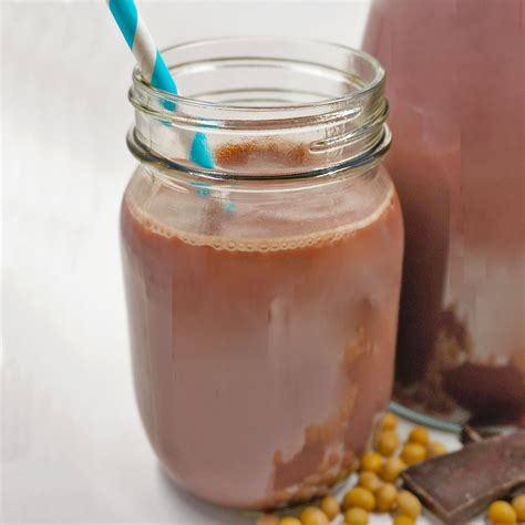 Ace Blender – Chocolate Soy Milk – Instant Pot Recipes