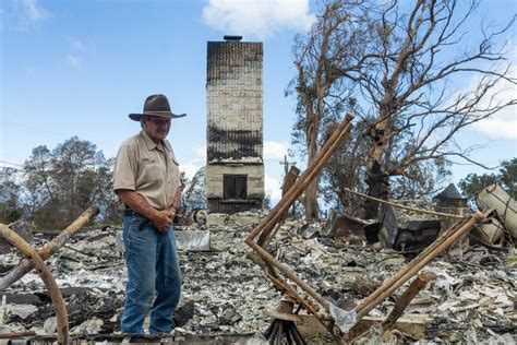 In Fire-Stricken Maui, Sustainable Land Management Is Key - Modern Farmer