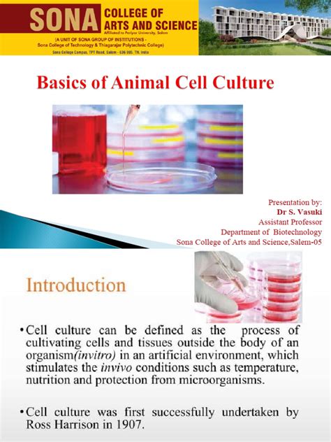 Animal Cell Culture Basics | PDF