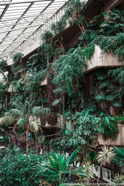 Barbican Conservatory - A Peaceful Oasis In The Heart Of London ...