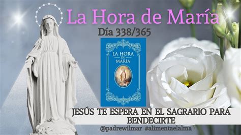 Día 338 La Hora de María Meditación diaria Jesús te espera en el