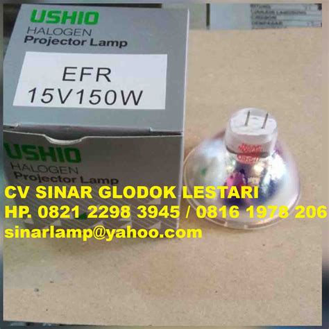 Lampu Halogen V W Efr Ushio Halogen Projector Lamp Agen Dan