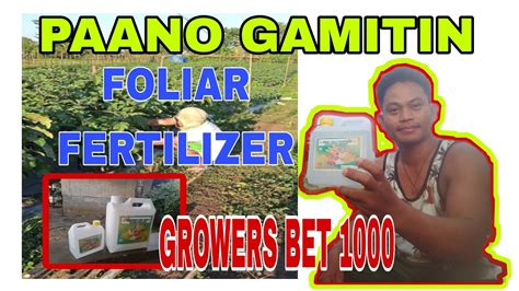 Paano Gamitin Si Growers Bet Foliar Liquid Fertilizer Step By