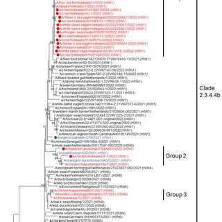 Phylogenetic Tree Analysis On The Hemagglutinin Ha And Neuraminidase