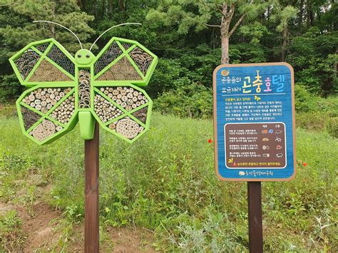 Pin By Jessica Williams On Signs Signage Design Insect Hotel