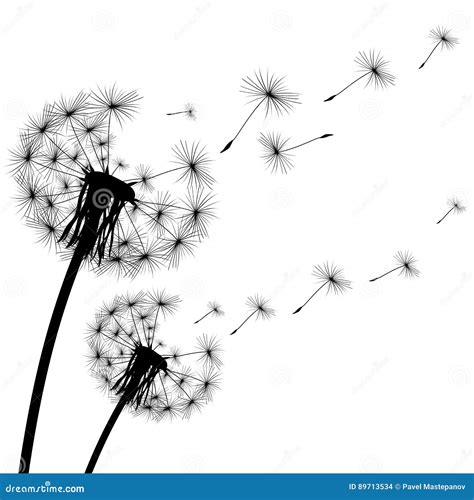 Black Silhouette of a Dandelion on White Background Stock Vector ...