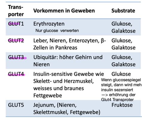 Ernährung Vorlesungen Flashcards Quizlet