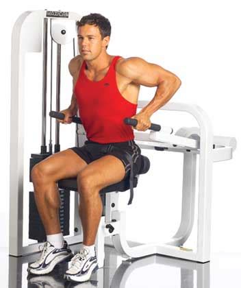 Seated Dip Machine Bodybuilding | Awesome Home