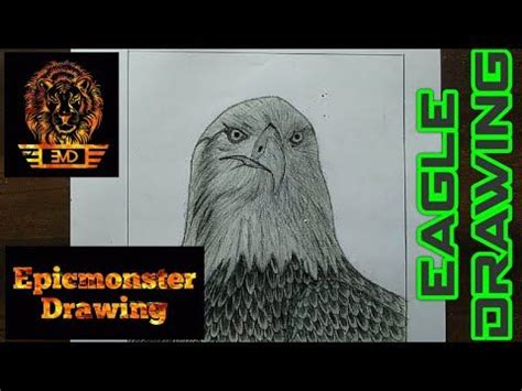 How To Draw A Realistic Eagle Drawing Pugal Artwork Eagle Drawing