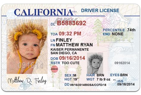 Editable drivers license template free - nelolin