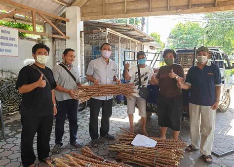 Hidup Jadi Cerita Manis Singkong Dan Ketahanan Pangan Di Masa Pandemi