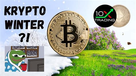 KRYPTO WINTER Bitcoin CRASH Kursziel 11 000 Ethereum BTC ETH