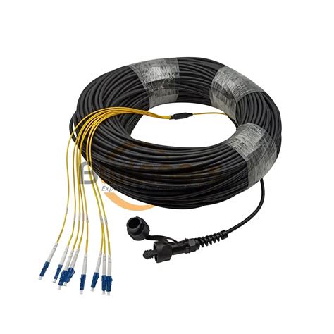 IP Series MPO MTP Fiber Cables Assemblies BWNFiber