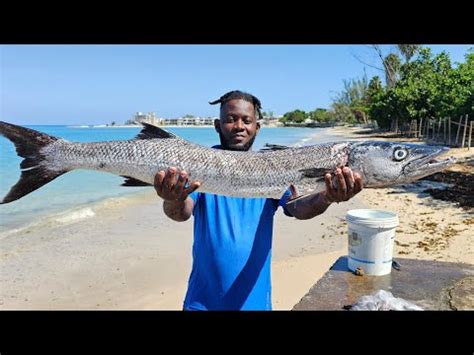 Dark Water Spearfishing Giant Barracuda YouTube