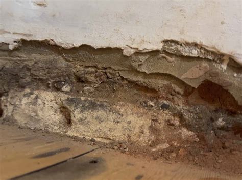 Damp Proofing Efficacy Mould Damp Surveys Ltd