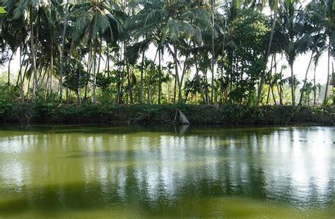 Public Ponds of Kerala