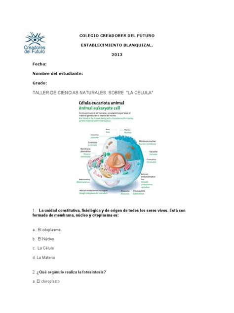 Taller Sobre La Célula Pdf Citoplasma Biología Celular